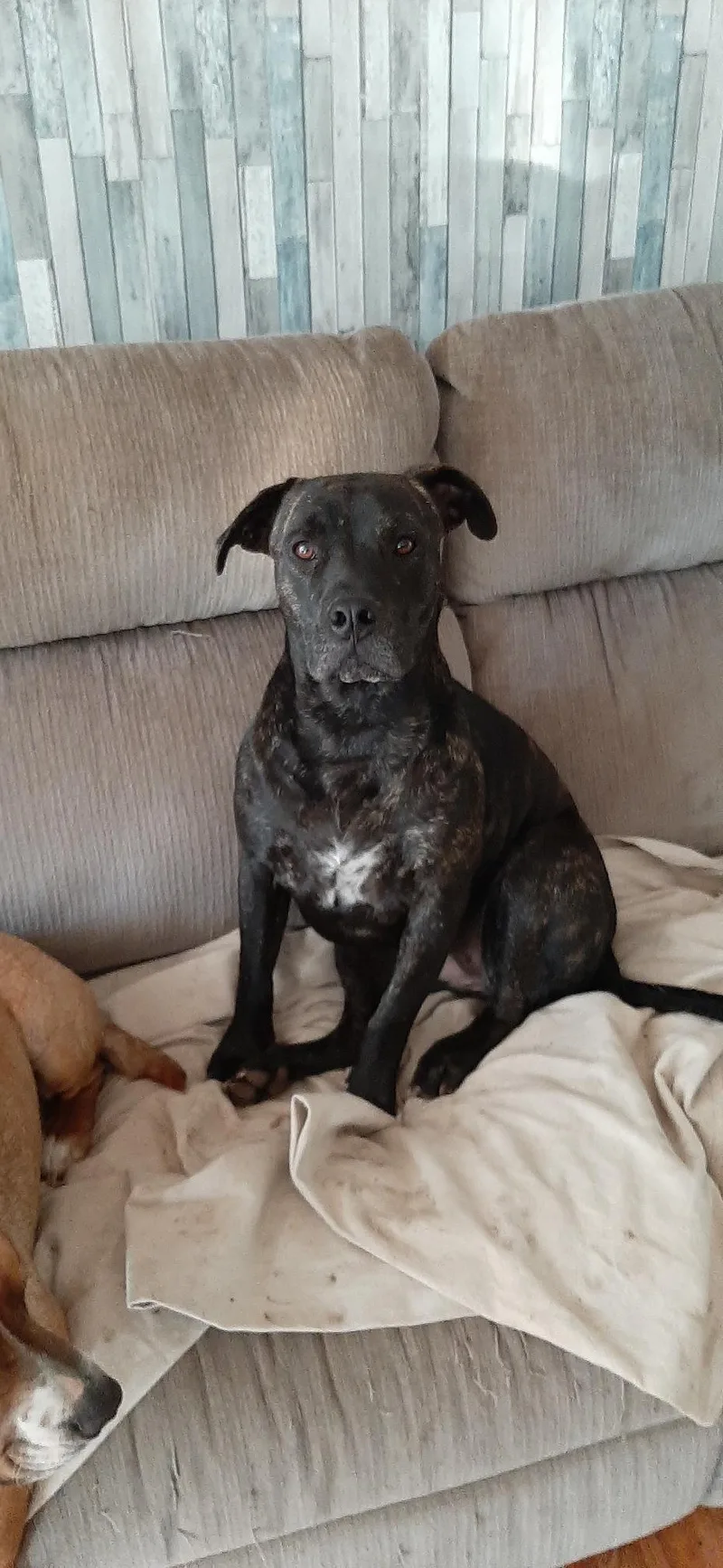 Strypers thumbnail 2