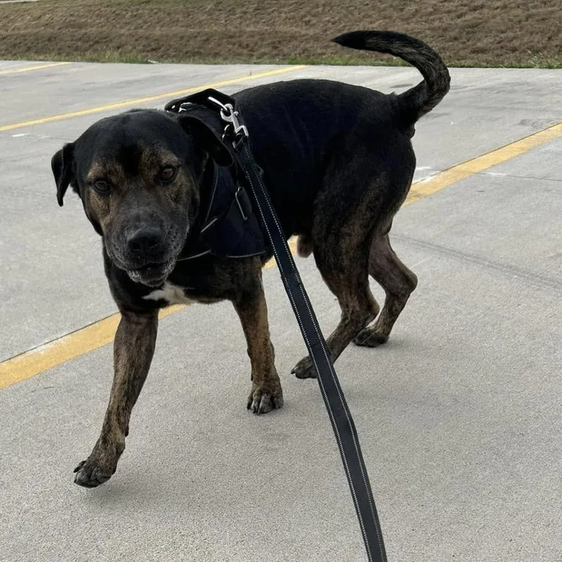 Sebastian thumbnail 2