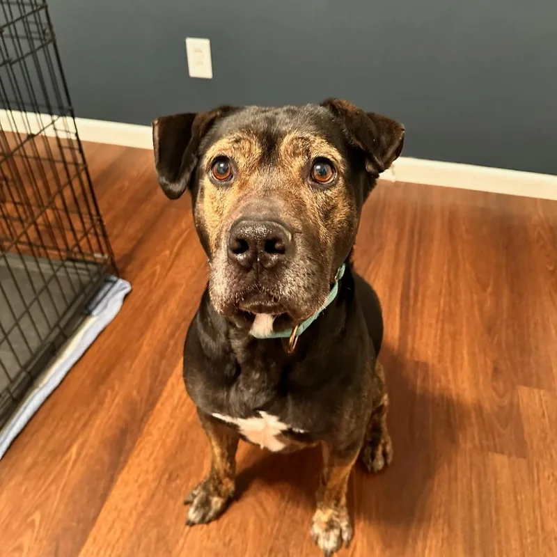 Sebastian thumbnail 4