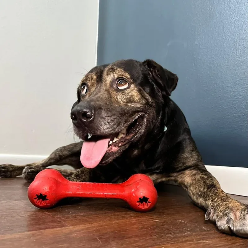 Sebastian thumbnail 5