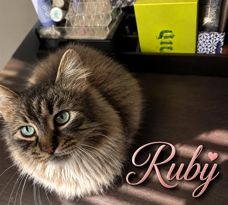 Rubyand Sapphire thumbnail 2