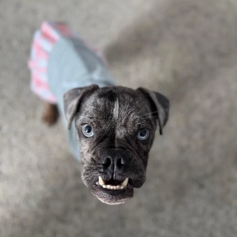 Tina