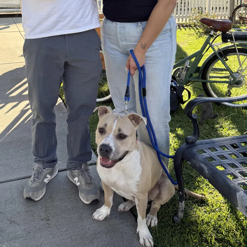 Mrs. Beasley thumbnail 2