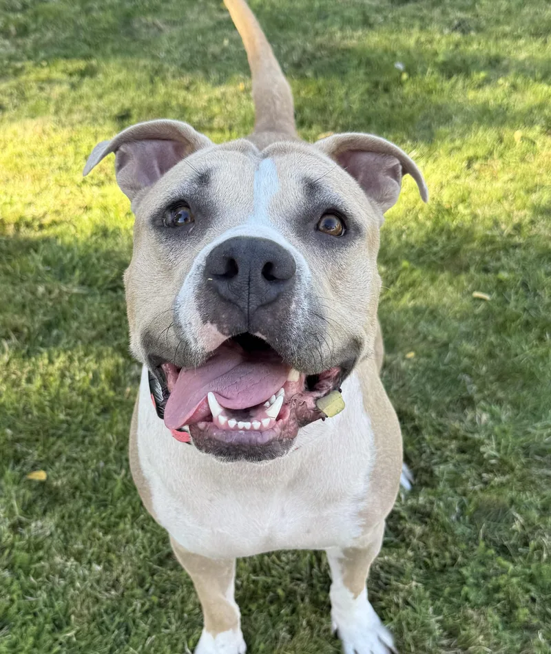 Mrs. Beasley thumbnail 3