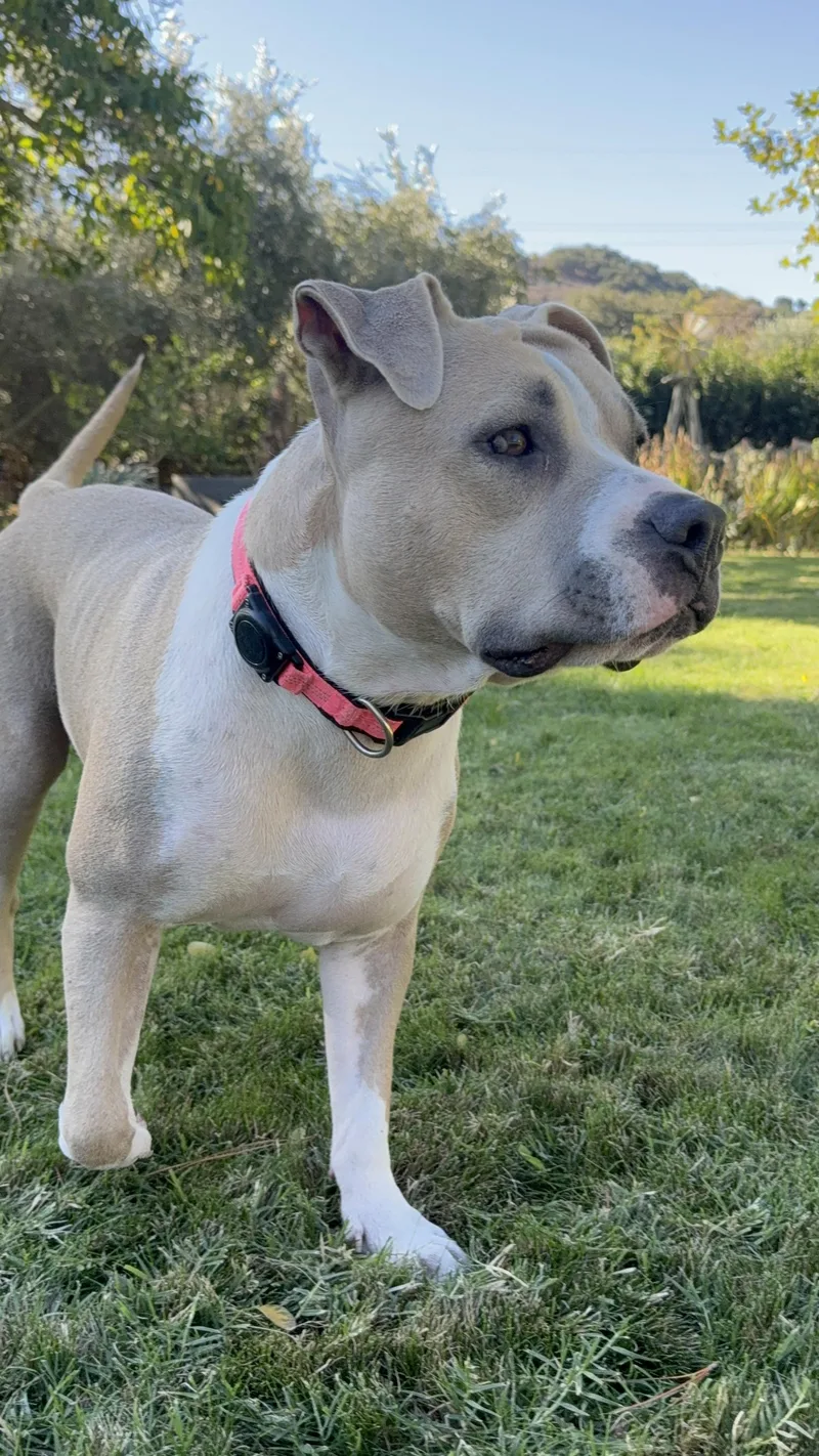 Mrs. Beasley thumbnail 5