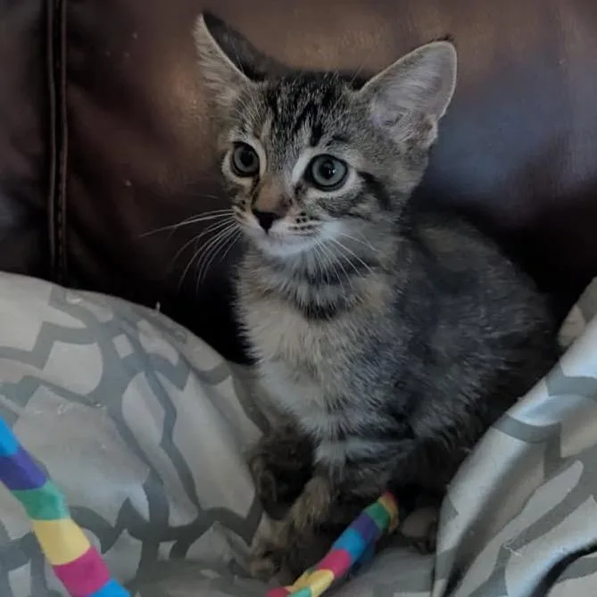 Zoey thumbnail 3