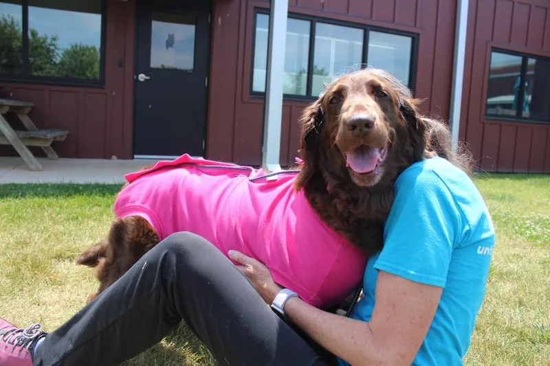 Millie thumbnail 2
