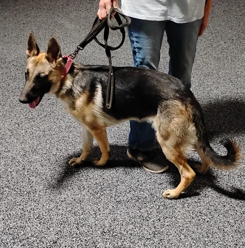 Mia thumbnail 3
