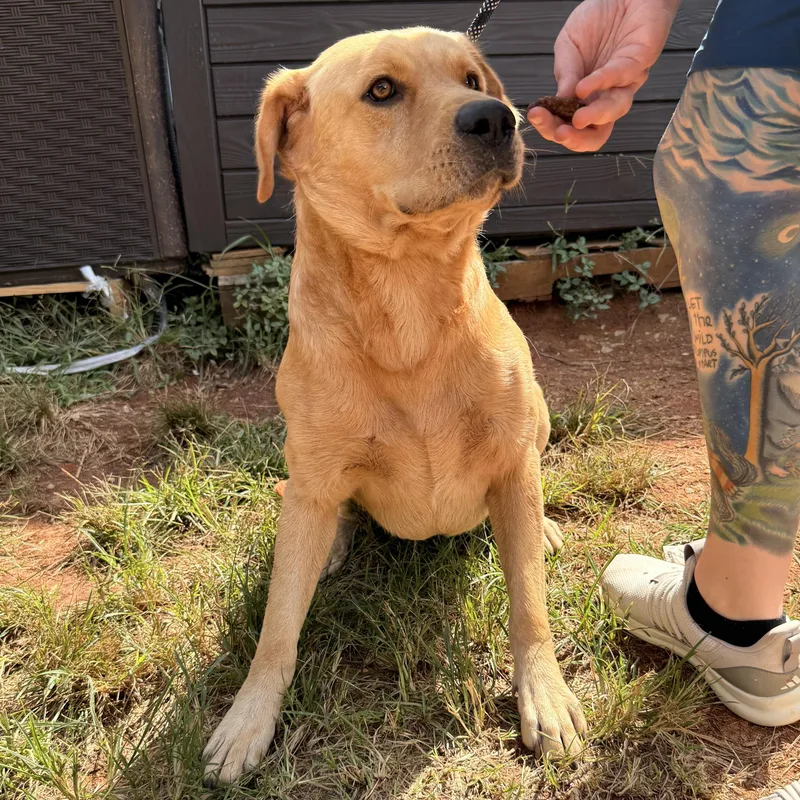 Owen Wilson thumbnail 3