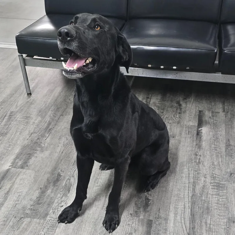 Lennon "lennie" thumbnail 2