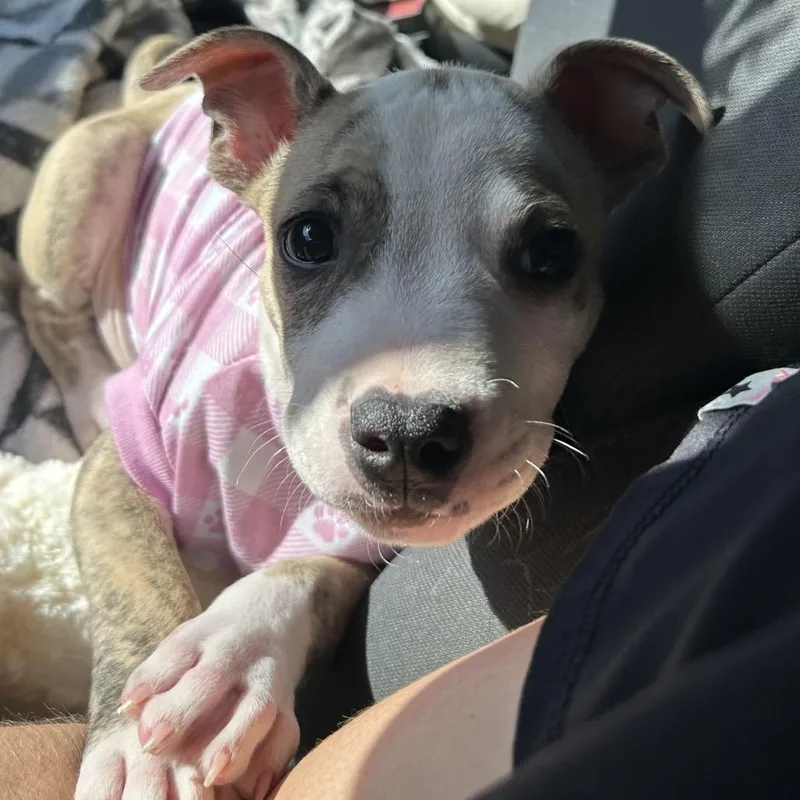 Raindrop thumbnail 2