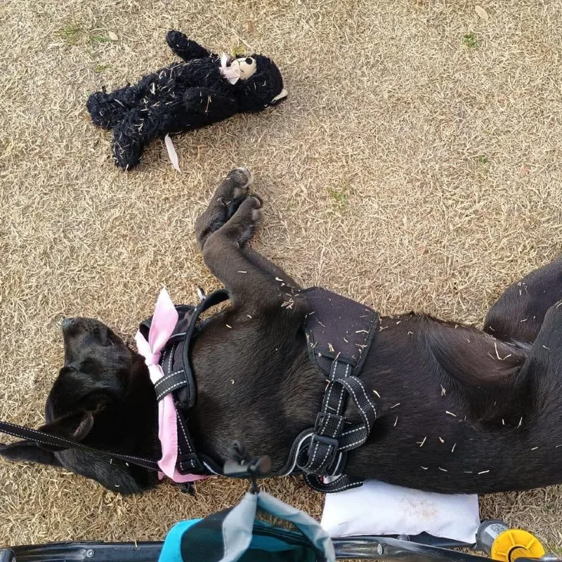 Missy Ii thumbnail 5