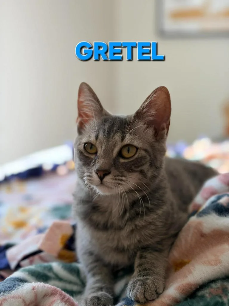 Gretel thumbnail 2