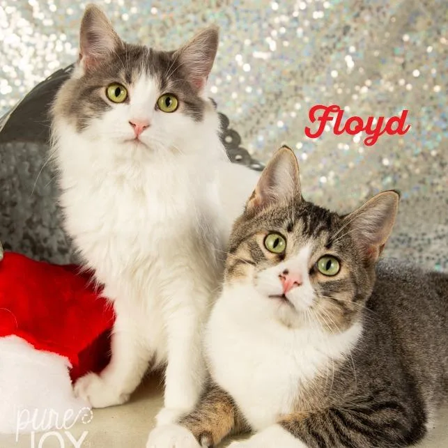 Thelma Lou thumbnail 6