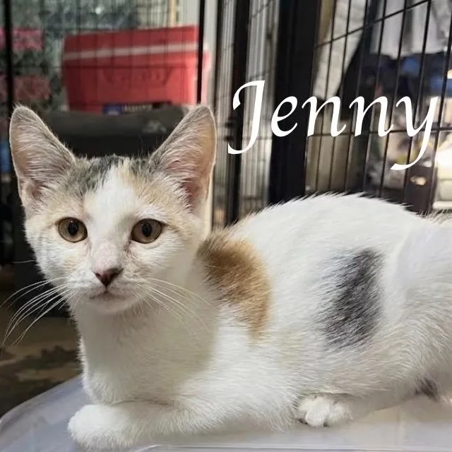 Jenny...curious by nature  thumbnail 2