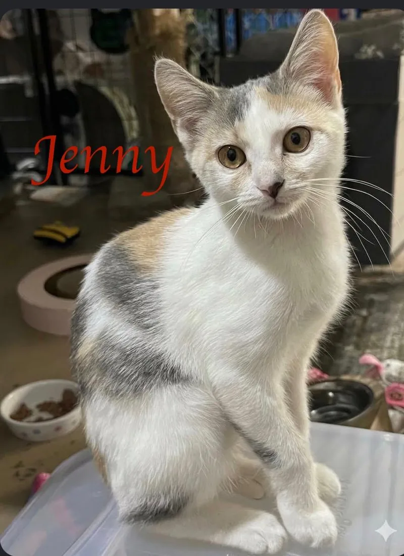 Jenny...curious by nature  thumbnail 3