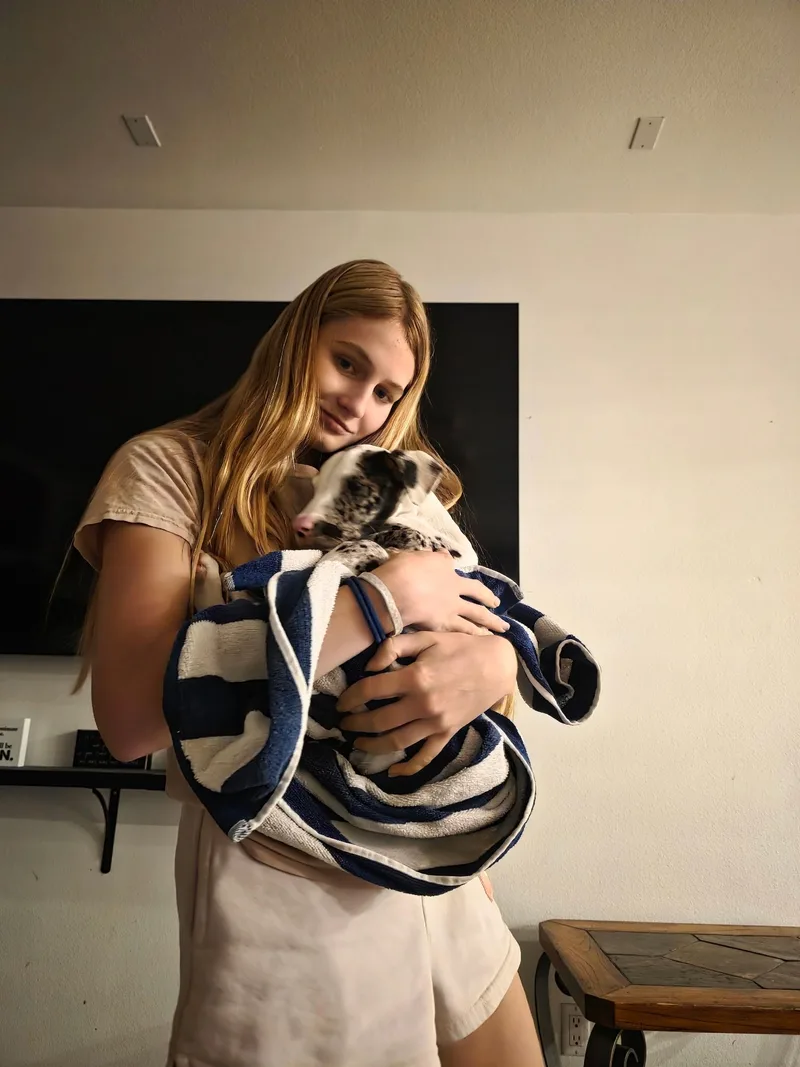 Lilly thumbnail 4