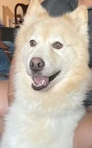Lucy Roo