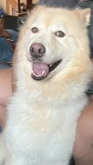 Lucy Roo thumbnail 6