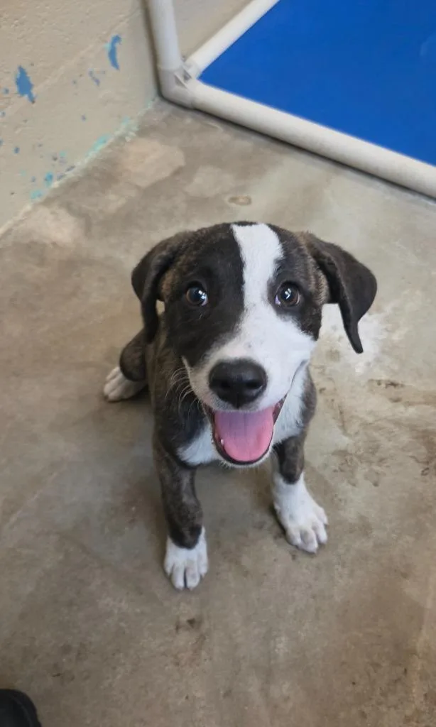 Maggie