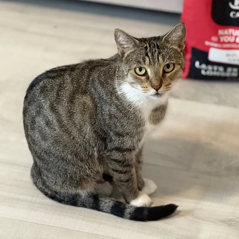 Bonnie With The Boots thumbnail 2