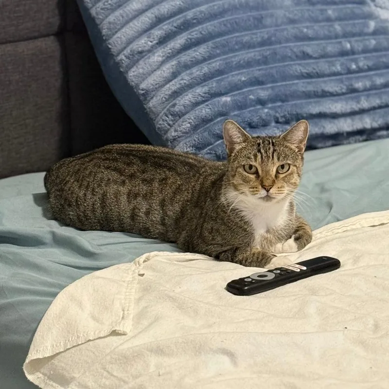 Bonnie With The Boots thumbnail 3