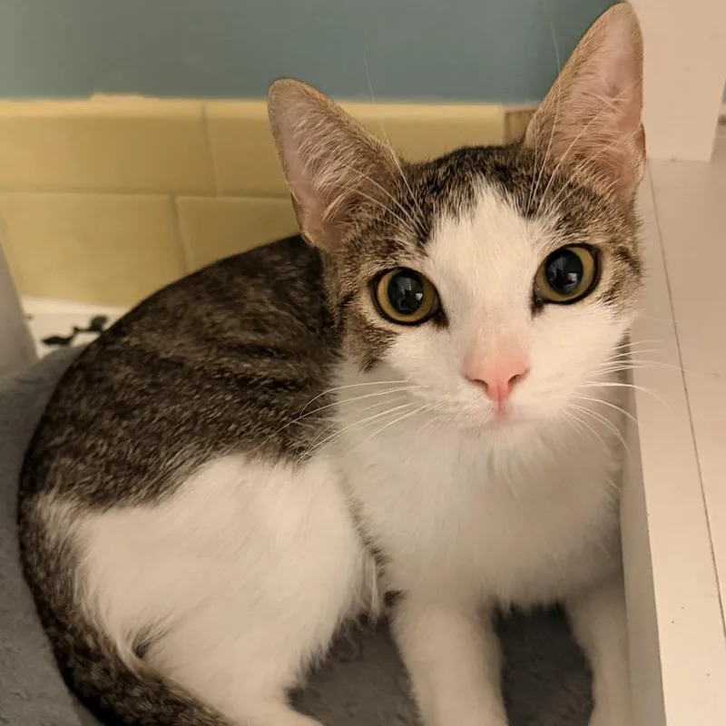 Rain  Mama In thumbnail 2