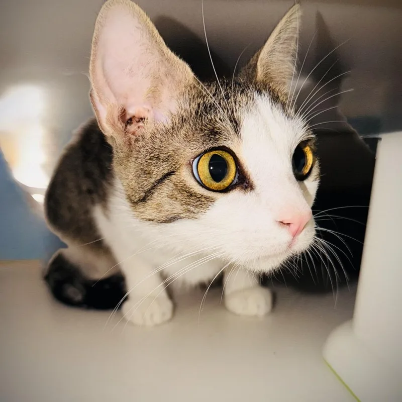 Rain  Mama In thumbnail 3