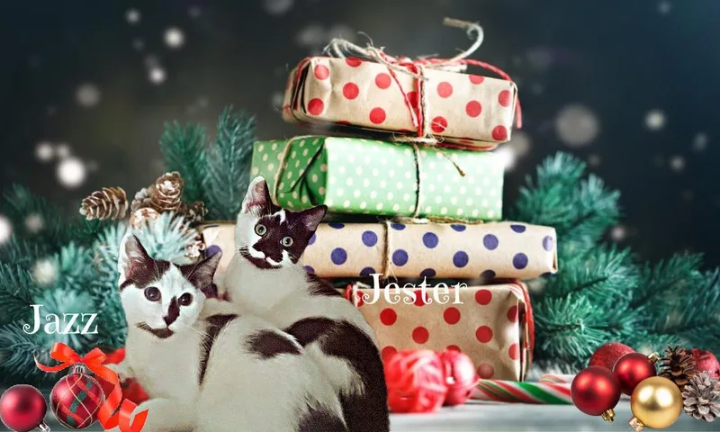 Jewel thumbnail 2