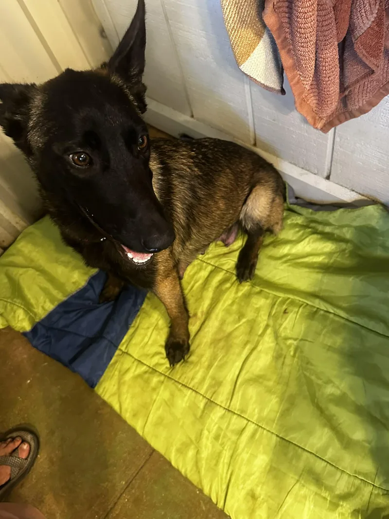 Kiska