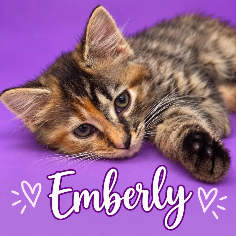 Emberly