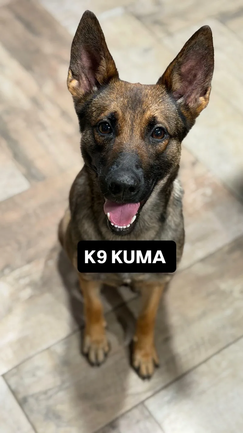Kuma