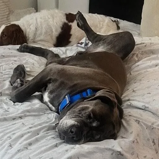 Benny Binion thumbnail 5