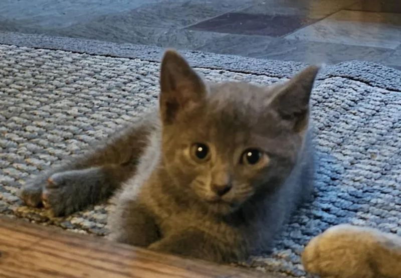 Mama Blue And Her thumbnail 3
