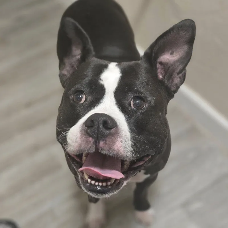 Zoey thumbnail 3