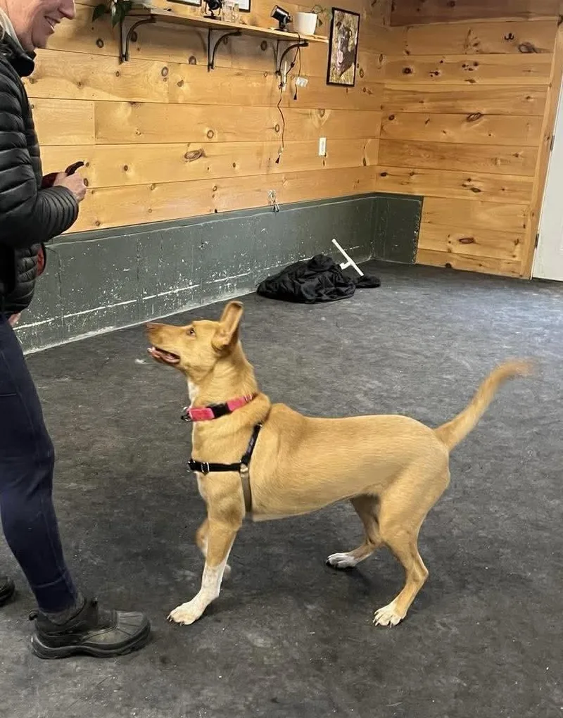 Etta James thumbnail 3