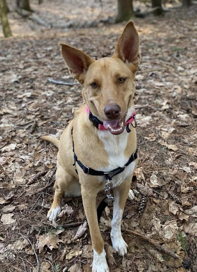 Etta James thumbnail 4