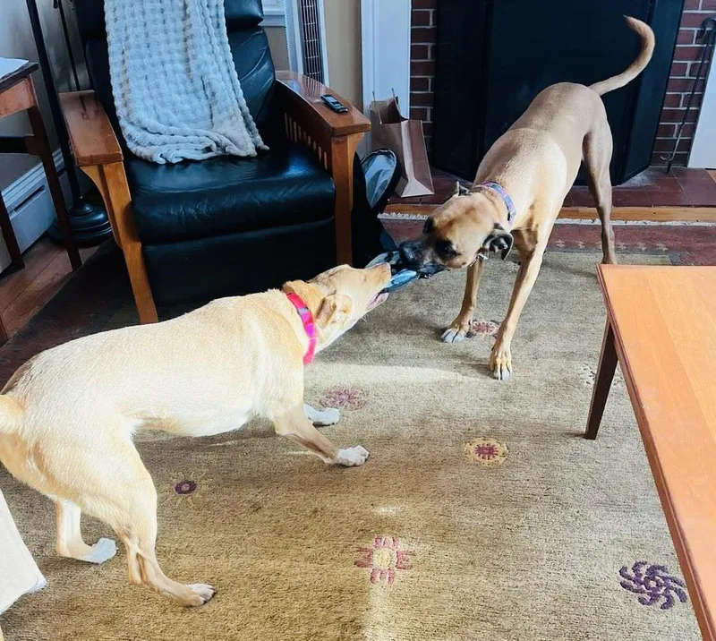 Etta James thumbnail 5