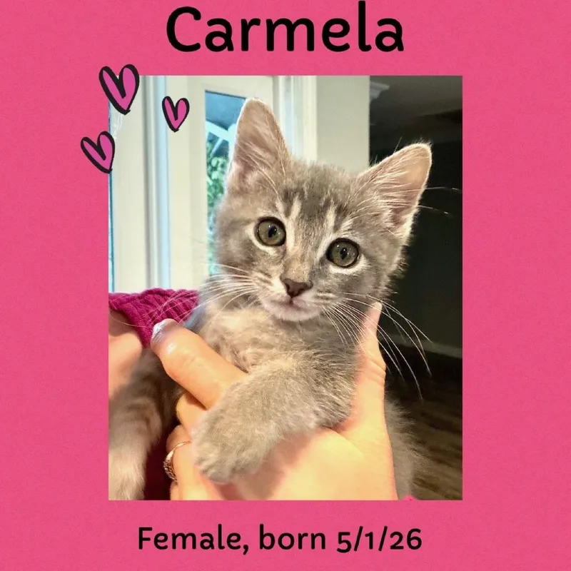 Carmelito thumbnail 2
