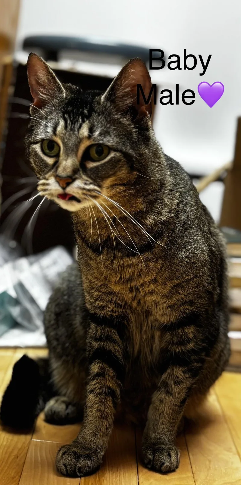 Mittens And Baby thumbnail 4