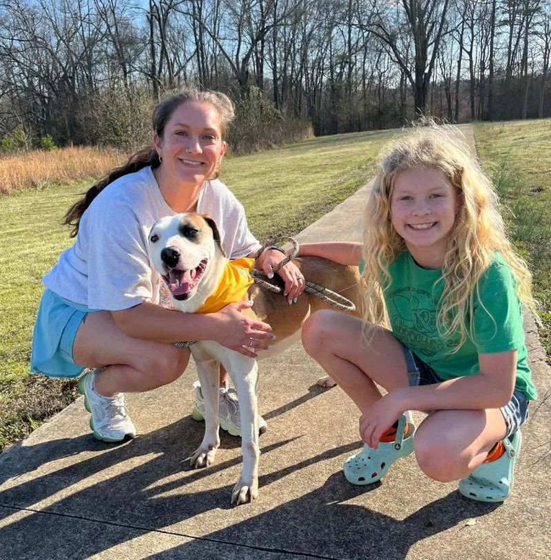 A young medium-sized male Hound dog named Hash Brown for adoption in Carrollton, GA