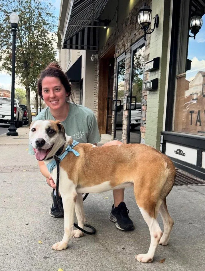 Hash Brown thumbnail 3