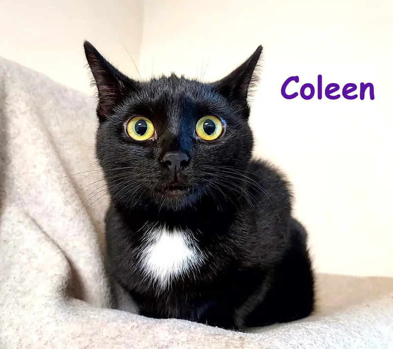 Coleen thumbnail 2