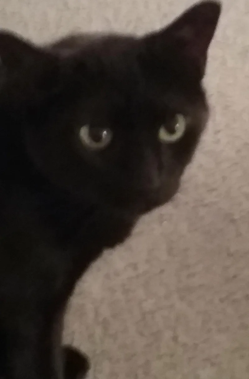 Sunshine .. thumbnail 2