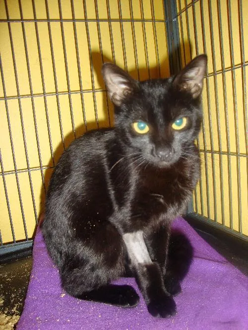 Sunshine .. thumbnail 3