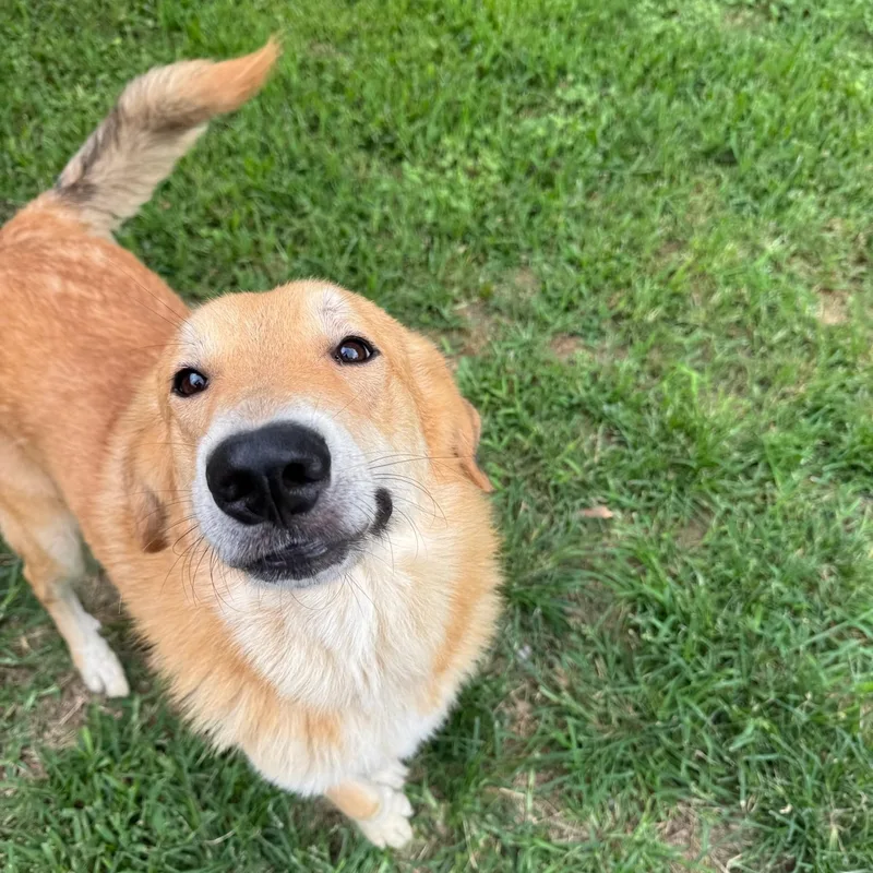 Peeta