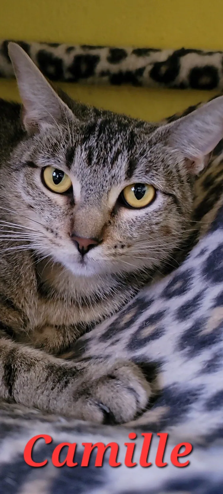Camille
