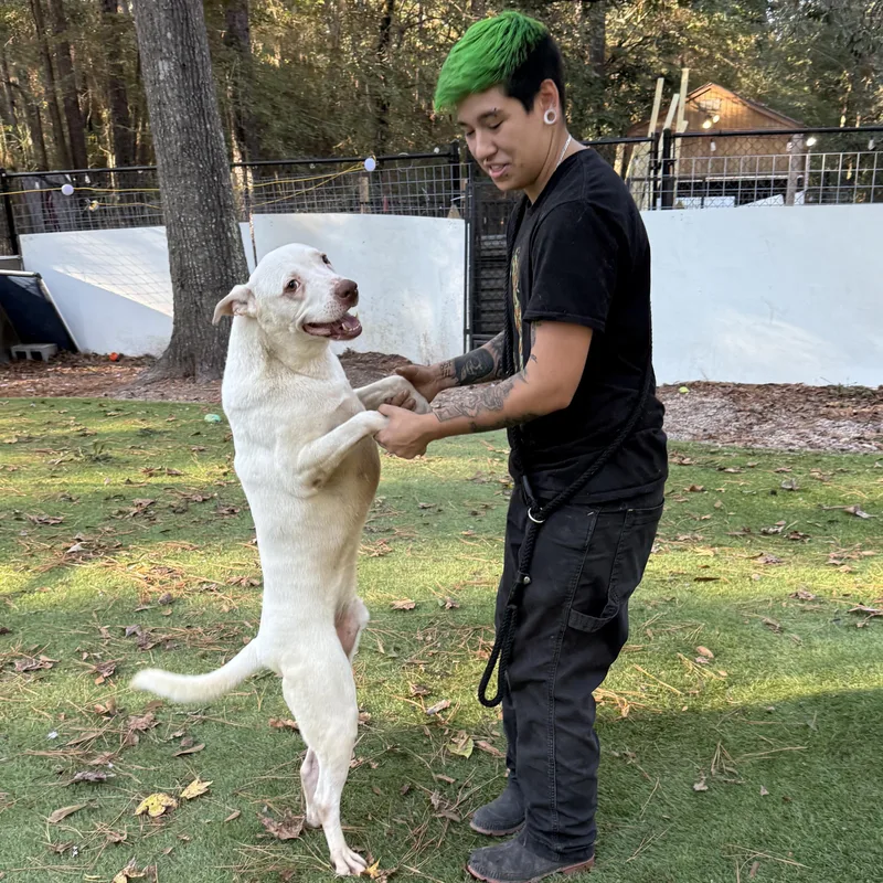 Casanova thumbnail 2