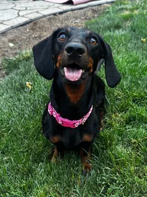 Maggie