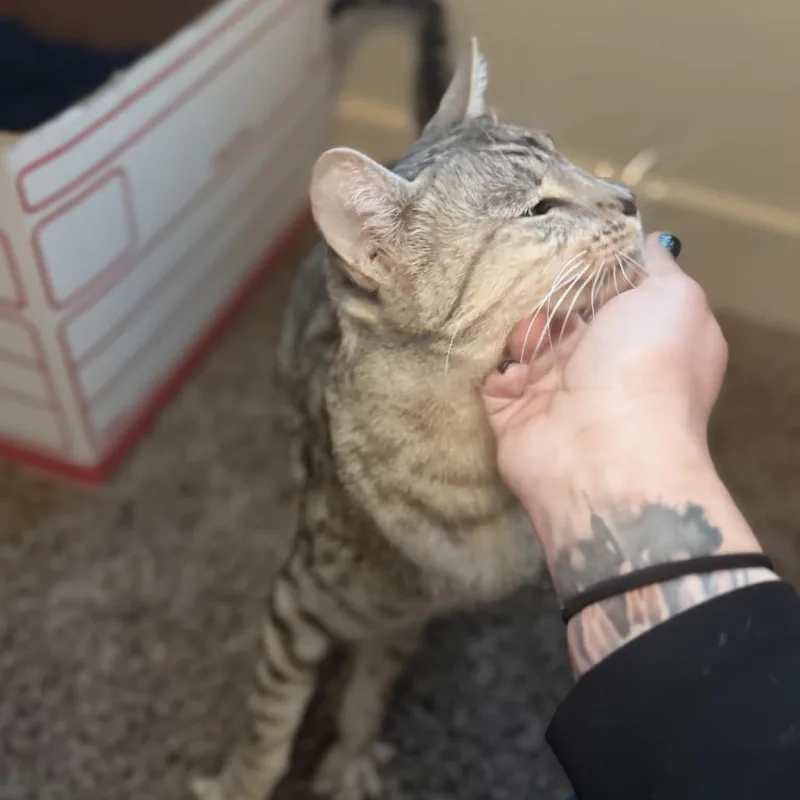 Roxie Rickard thumbnail 2